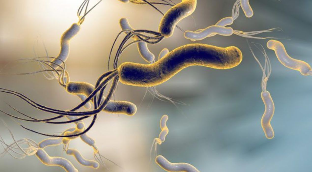 ما هي جرثومة المعدة | أعراضها وعلاجها وإرشادات حديثة