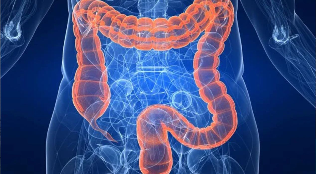 تنظيف القولون 2026 | تعرف دليلك الكامل بين الفوائد والأضرار