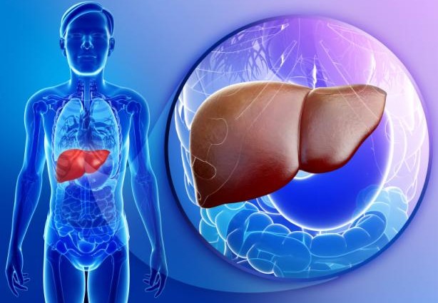 أمراض الكبد