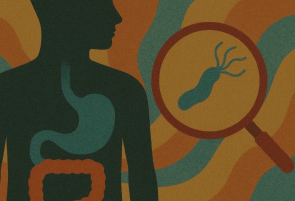 اكلات لمرضى جرثومة المعدة