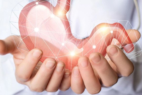 طرق الوقاية من جرثومة المعدة