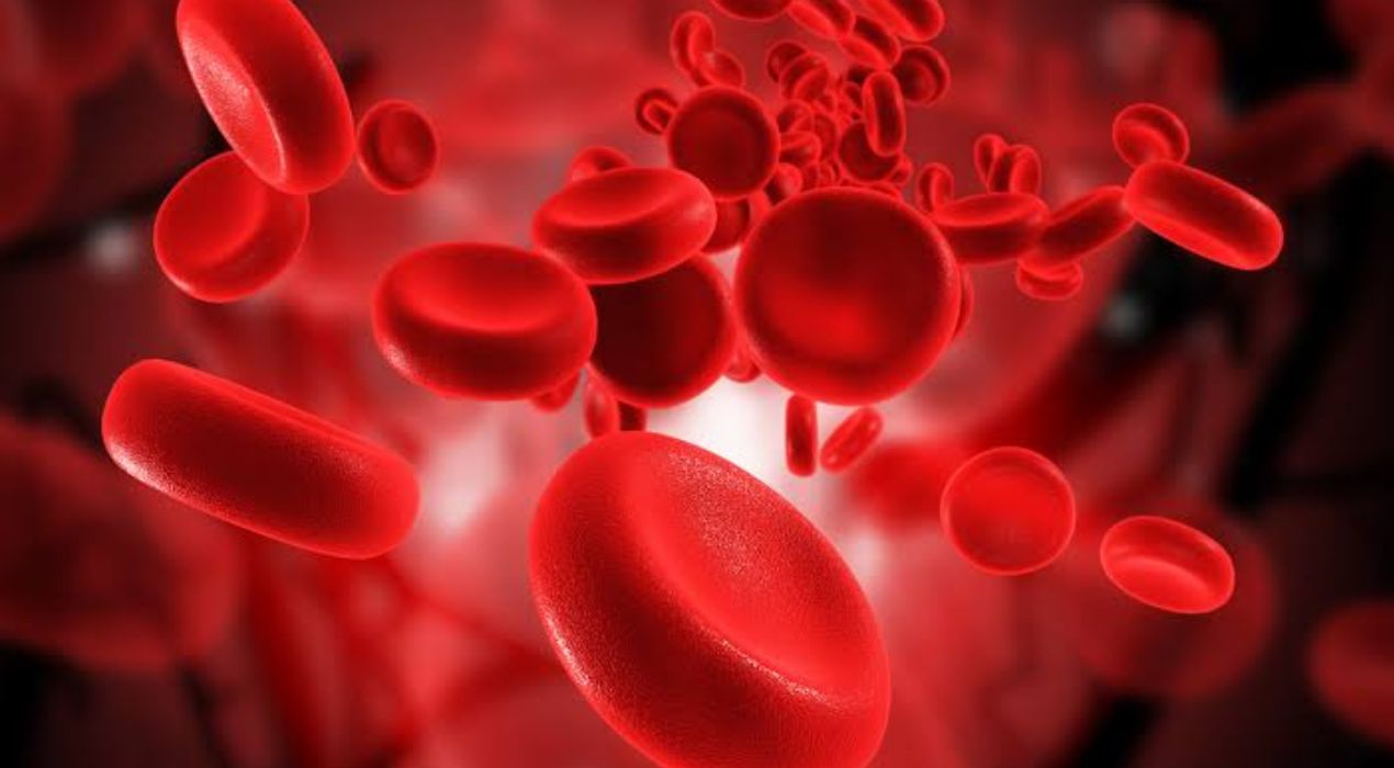 ما هي حموضة الدم ؟ دليلك للأسباب والأعراض وطرق العلاج