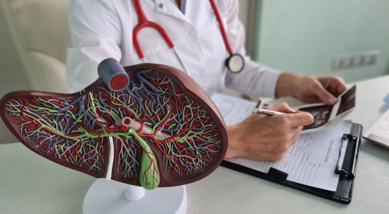 علاج تضخم الكبد 2026: دليلك لأفضل طرق العلاج والتعافي